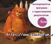 Бамбук, сімейний салон краси фото