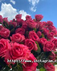 Квіткова кав'ярня фото