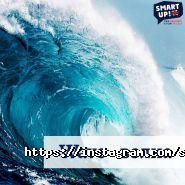 Smart up, школа англійської мови фото