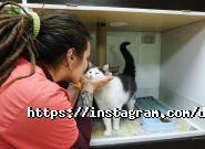 Доктор Вет, ветеринарний центр фото