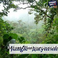 Smart up, школа англійської мови фото