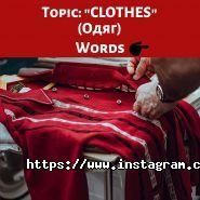 Lingo Lviv Education, школа іноземних мов фото