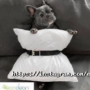 Eco Clean, сеть химчисток фото