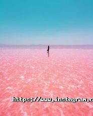 Viewpoint, туристичне агентство фото