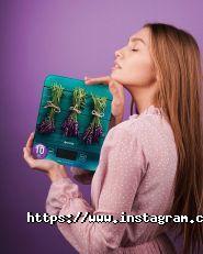 Фокстрот, сеть магазинов бытовой техники и электроники фото