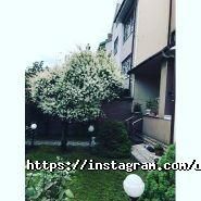 Дніпровська нерухомість, ріелторська агенція фото