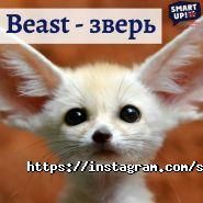 Smart up, школа англійської мови фото