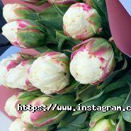 Оптроз, оптова база квітів фото