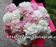 Solo Flowers, квітковий салон фото