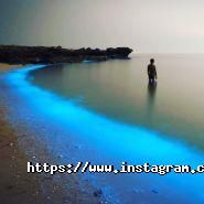 Viewpoint, туристичне агентство фото