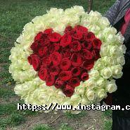 Zefir, квітковий магазин фото