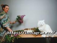 Asant Studio, школа професійної флористики фото