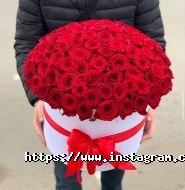 Фрезія, салон квітів фото