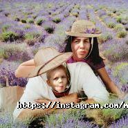 Margaritki.com, шоу-рум фото