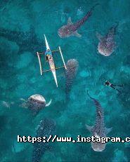 Viewpoint, туристичне агентство фото