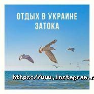 Бизнес Визит, турагентство фото