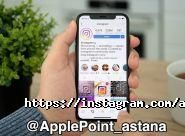 Apple Point фото