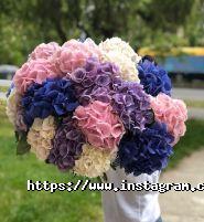 Solo Flowers, квітковий салон фото