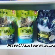 Котик, зоомагазин фото