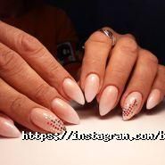 Best Profi, учбовий центр фото