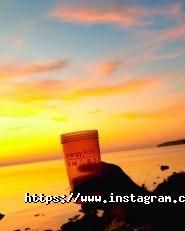 Nl International, торгова компанія фото