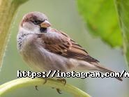 Master zoo, национальная сеть зоомаркетов фото