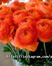 Вінтаж, ательє та індивідуальне пошиття одягу фото