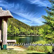 Greenwich Travel, туристична агенція фото