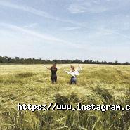 Веселка, туристична компанія фото