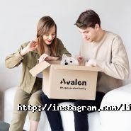 Avalon Inc., ведущая инвестиционно-девелоперская компания фото