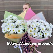ИП Cvety.kz фото