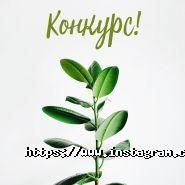 Yves Rocher, магазин косметики фото