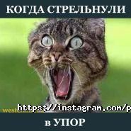 Western, пейнтбольний клуб фото