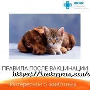 Люкс, ветеринарная аптека фото