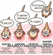 The Grace Studio, студія краси фото