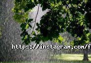 Fly Fish, доставка суші фото