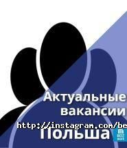 Language Universe, центр вивчення іноземних мов фото