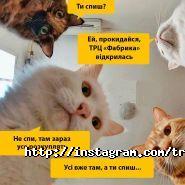 Трц fabrika, торгово-розважальний центр фабрика фото