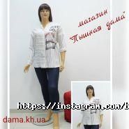 Великий тато, магазин чоловічого одягу великих розмірів фото