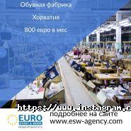 Euro Sudy & Work, центр працевлаштування фото