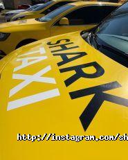 Shark taxi, мобильное приложение фото