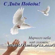 Высший медицинский колледж, Акимат г. Нур-Султан фото