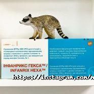 Мама Врач, детський медицинський центр фото