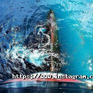 Overseas transport Ukraine Ltd, транспортно-експедиторська компанія фото