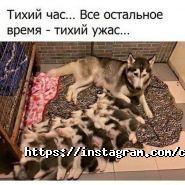 Cat House, кав'ярня фото