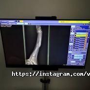 Талисман, ветеринарная клиника фото