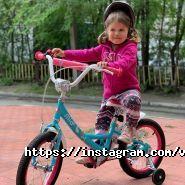 Ворота 24, виготовлення воріт фото