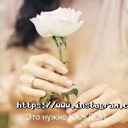 Fresh, мережа фітнес-клубів фото