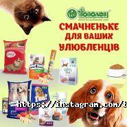 Топольок, магазин канцтоварів фото