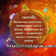 Саттва, центр красоты фото